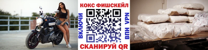 КОКАИН Fish Scale  блэк спрут онион  Вытегра 